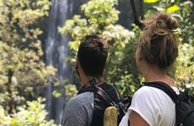 Waterfall & Coffee Walking Tour