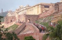 Delhi Agra Jaipur Tour with Ranthambore Wildlife Safari