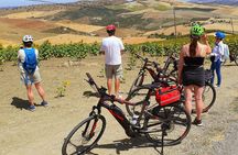 Wine, Tapas & Lake Zahara by e-bike incl Ronda pickup (full day)
