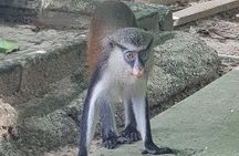 Lekki Conservation Centre