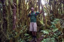 Day Trip To Lupanga Peak