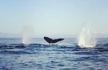 Fun at the Ocean tour 
