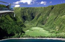 Kohala and Hamakua Coast Flight