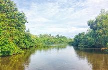 05 Day Explore Sri Lanka