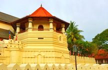 05 Day Explore Sri Lanka