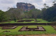 Sri Lanka tours 12-Day wildlife Tour with driver,Car or Van and accommodations