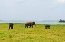 10 Day Explore Sri Lanka