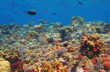 Hurghada Snorkelling