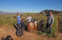 From Cape Town: Full Day Electric Bike Winelands Tour & Lunch 