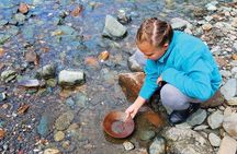 Historic Gold Mining and Panning Adventure