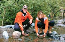 Historic Gold Mining and Panning Adventure