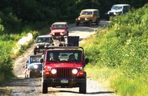 Ketchikan Jeep and Canoe Safari