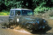 Ketchikan Jeep and Canoe Safari