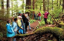 Ketchikan Rainforest Canoe and Nature Walk