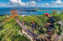 Tree Limin' Extreme Zipline