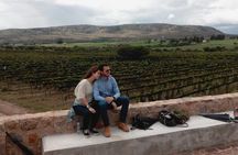 Local Vineyard Tour & Wine Tasting at the Independence Valley
