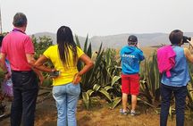 5 Days Adventure into the Clouds of Obudu Mountain Resort