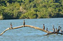 Kayak -Bird Watching Combo Tour from Puerto Quetzal