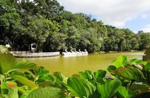 German Origins – Nova Petrópolis Tour