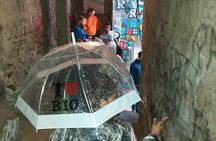  Favelas do Vidigal or Rocinha's experience