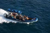 The Best 4 hour inclusive Kanaio Sea Caves and La Perouse Snorkel