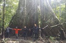 Pacaya Samiria Mystical 3 Days