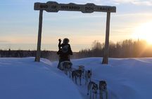 Mush Your Own Sled Dog Team
