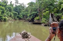 Indian River, Cold Soufriere & Fort Shirley (Northern Excursion) 