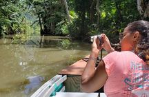 Indian River, Cold Soufriere & Fort Shirley (Northern Excursion) 