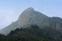 Trekking to Pico de Loro