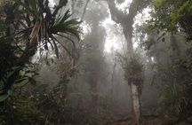 Trekking to Pico de Loro