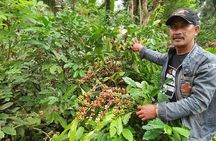 A Day Being Coffee And Batik Maker