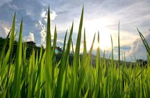 Number one top rated ethical cultural trekking and homestay by ETHOS 
