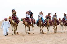 Camel Trekking and Morning Safari with Sand Boarding