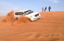 Camel Trekking and Morning Safari with Sand Boarding