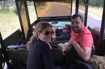 3-Day Tour of Kruger National Park from Skukuza Airport