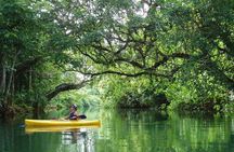 Small Group River Kayaking Tour from Port Vila