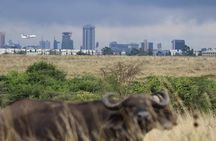 Nairobi National Park guided tour