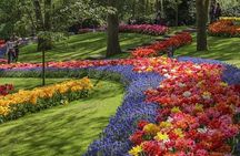 Private Guided Tour of Keukenhof Tulip Gardens & Private Windmill