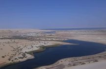 over day safari trip to whales valley fayoum oasis 