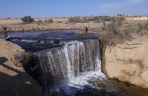 over day safari trip to whales valley fayoum oasis 