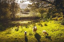 Windermere & Lake District Tour from Manchester Including Cruise