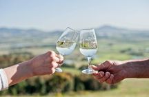 Luxury Wine Tour with Lunch