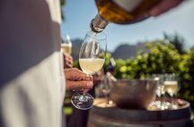 Luxury Wine Tour with Lunch