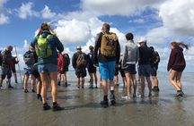 Private Guided Full-Day Customizable Tour of Holland from Amsterdam