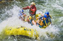 Numbers Half-Day Whitewater Rafting from Buena Vista