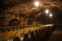 Premium Tour at Concha y Toro Winehouse with Tasting