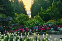 Private Deluxe Tour of Victoria & to Butchart Gardens (5 hrs)