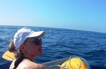 Chasing Syrens Transparent Kayak Winter Tours