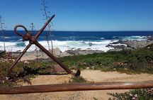 Poetry and Wines: Isla Negra and Undurraga vineyard
